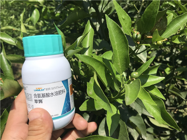 柑橘,特種肥料,肥料,廣西,拉姆拉 柑橘,特種肥料,肥料,廣西,拉姆拉