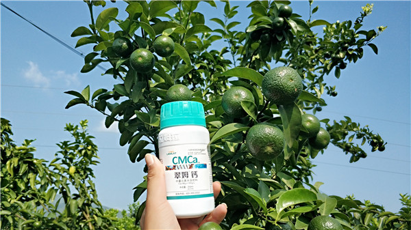 柑橘,特種肥料,肥料,廣西,拉姆拉 柑橘,特種肥料,肥料,廣西,拉姆拉