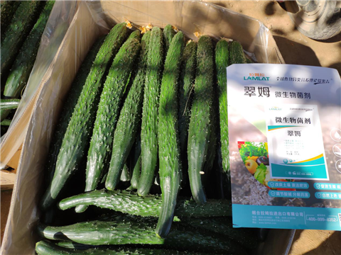 微生物菌劑，拉姆拉，翠姆