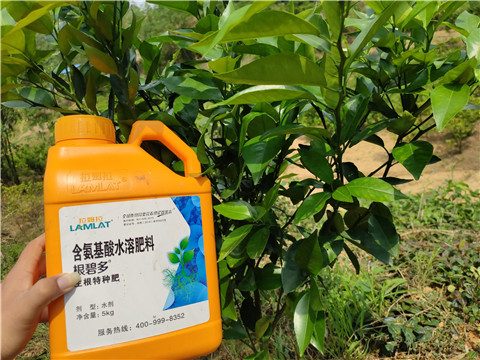 沖施肥，拉姆拉，翠姆