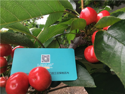 大量元素水溶肥，拉姆拉，翠姆