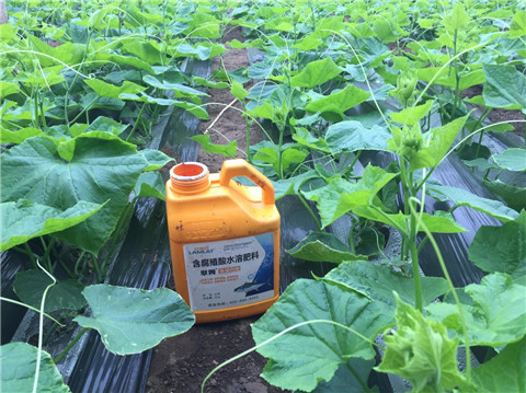 作物施肥管理，拉姆拉，翠姆