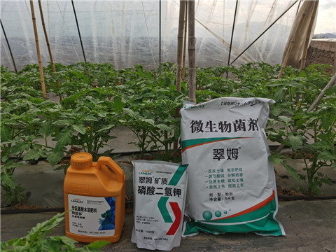 水溶肥，拉姆拉，翠姆