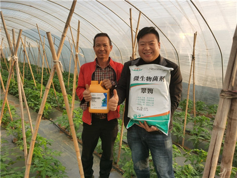 水溶肥，拉姆拉，翠姆