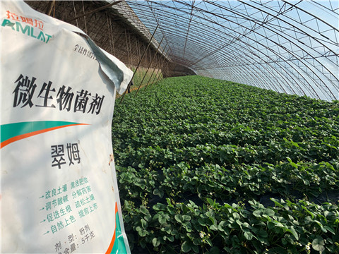 微生物菌劑，拉姆拉，翠姆