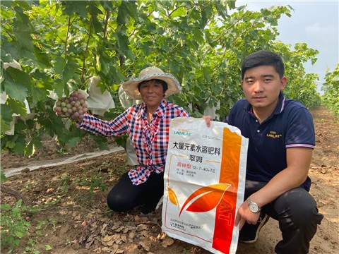 大量元素水溶肥，拉姆拉，翠姆