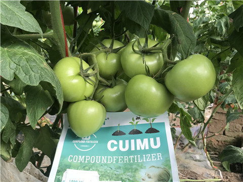 水溶肥，拉姆拉，翠姆