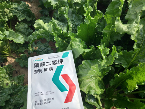 水溶肥，拉姆拉，翠姆