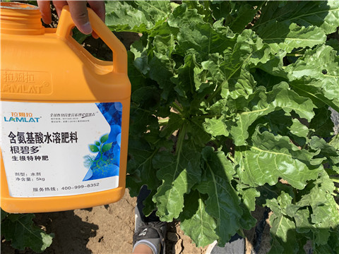 水溶肥，拉姆拉，翠姆