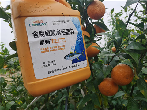 水溶肥，拉姆拉，翠姆