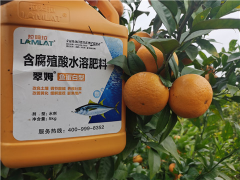 水溶肥，拉姆拉，翠姆