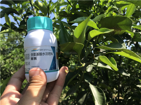 葉面肥，拉姆拉，翠姆