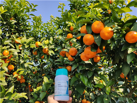 葉面肥，拉姆拉，翠姆