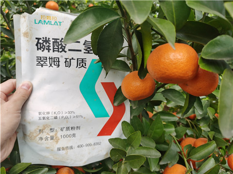 水溶肥，拉姆拉，翠姆