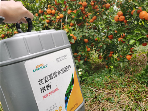 水溶肥，拉姆拉，翠姆