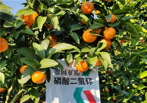 磷酸二氫鉀，拉姆拉，翠姆