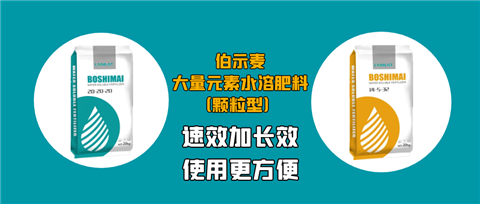顆粒肥，拉姆拉，翠姆
