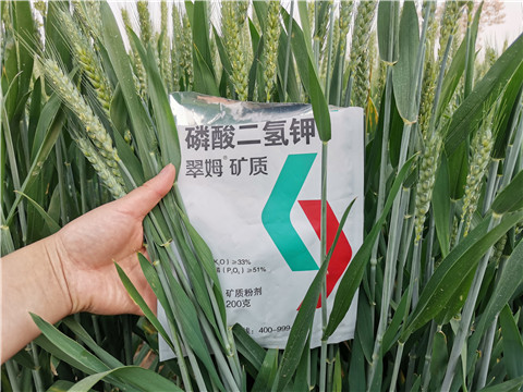 葉面肥，水溶肥，磷酸二氫鉀