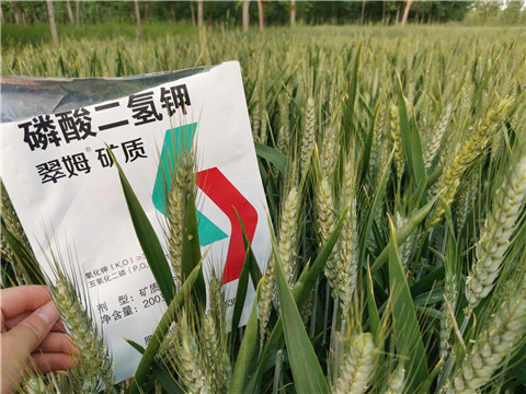 葉面肥，水溶肥，磷酸二氫鉀