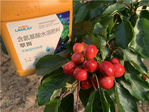 氨基酸水溶肥，拉姆拉，翠姆