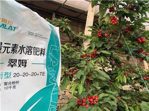 大量元素水溶肥，拉姆拉，翠姆