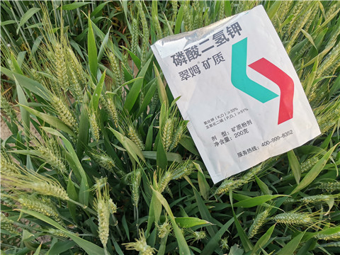 水溶肥，拉姆拉，翠姆