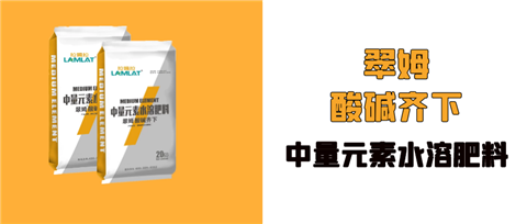水溶肥，拉姆拉，翠姆