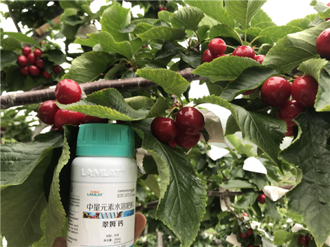 水溶肥，拉姆拉，翠姆