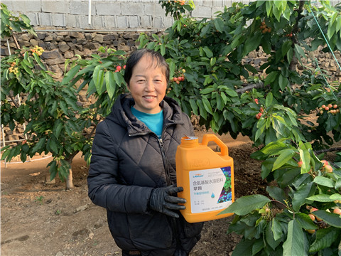 水溶肥，拉姆拉，翠姆