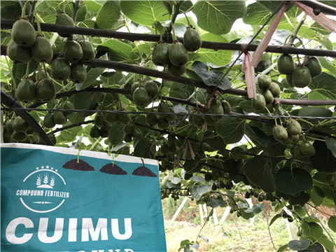 顆粒復(fù)合肥，拉姆拉，翠姆