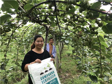 顆粒復(fù)合肥，拉姆拉，翠姆