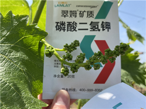 磷酸二氫鉀，拉姆拉，翠姆