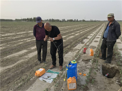 水溶肥，拉姆拉，翠姆