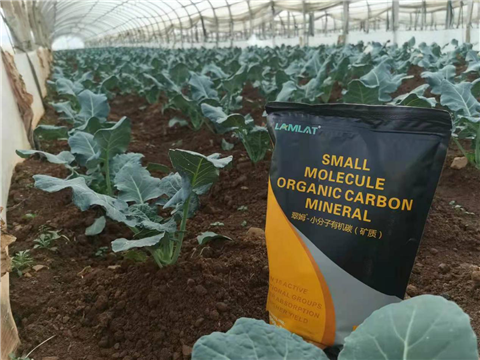 小分子有機(jī)碳，拉姆拉，翠姆