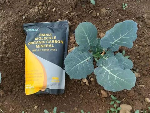 小分子有機(jī)碳，拉姆拉，翠姆