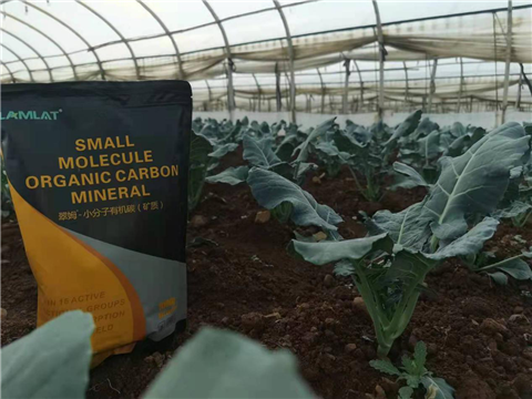 小分子有機(jī)碳，拉姆拉，翠姆