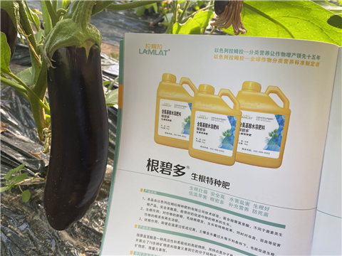 水溶肥，拉姆拉，翠姆