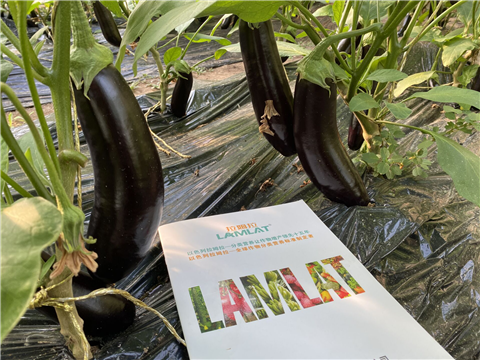 水溶肥，拉姆拉，翠姆