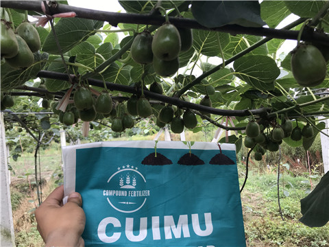 顆粒水溶肥，拉姆拉，翠姆