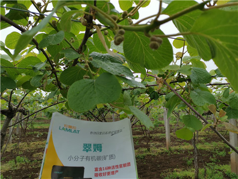 小分子有機碳，拉姆拉，翠姆