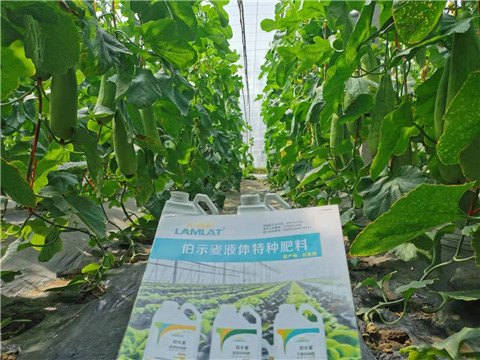 水溶肥，拉姆拉，翠姆