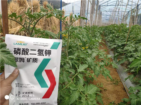 磷酸二氫鉀，拉姆拉，翠姆