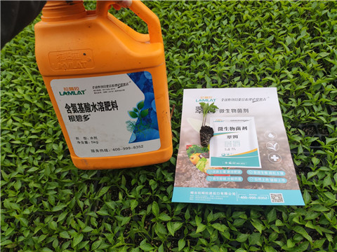 水溶肥，拉姆拉，翠姆