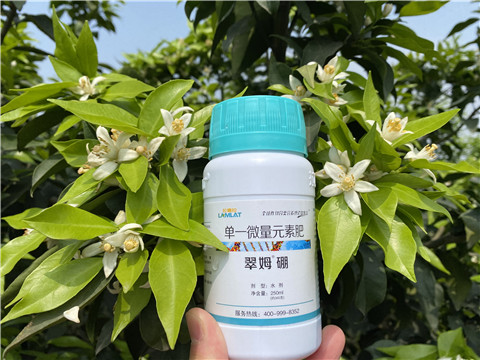 葉面肥，拉姆拉，翠姆