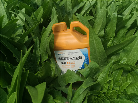 沖施肥，拉姆拉，翠姆