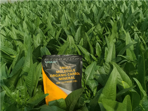 礦源黃腐酸鉀，拉姆拉，翠姆