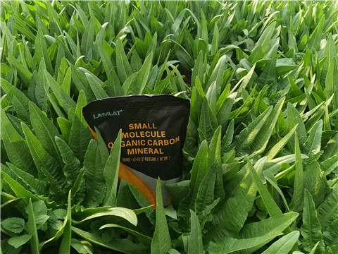 礦源黃腐酸鉀，拉姆拉，翠姆