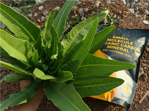 礦源黃腐酸鉀，拉姆拉，翠姆