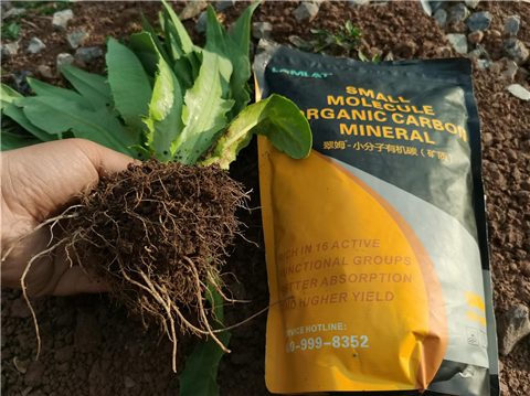 礦源黃腐酸鉀，拉姆拉，翠姆