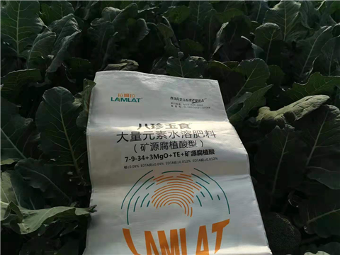 大量元素水溶肥，拉姆拉，翠姆